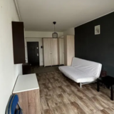 Fundeni, Aleea Argedava, centrala, ac, renovata, disponibila vineri